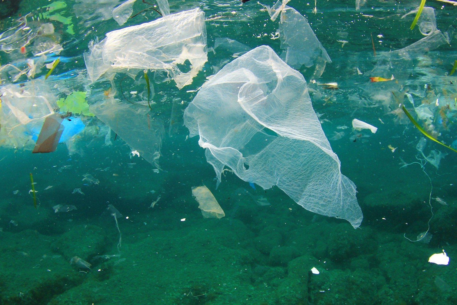 Как борются с пластиком в странах мира